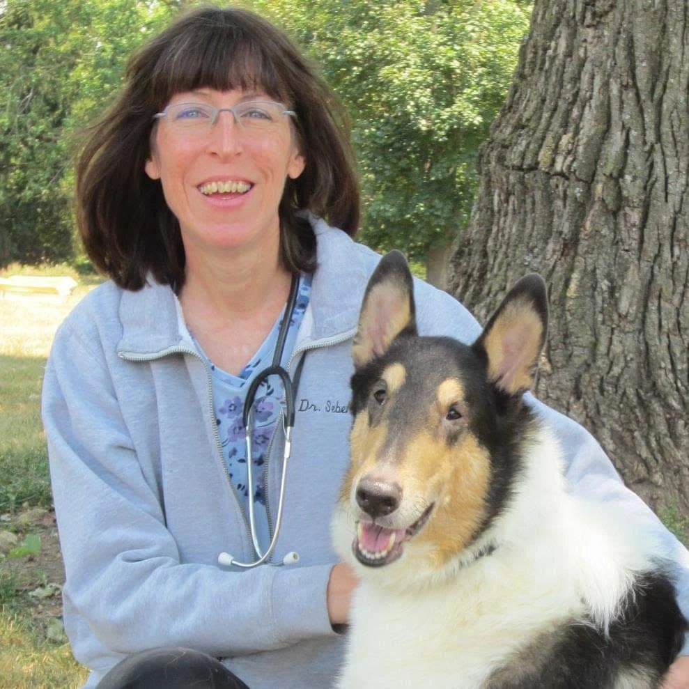 Dr. Lynn Sebek outdoors with a smooth collie
